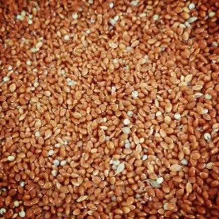 milet merah bersih pakan terbaik buat Lovebird kenari dll murah