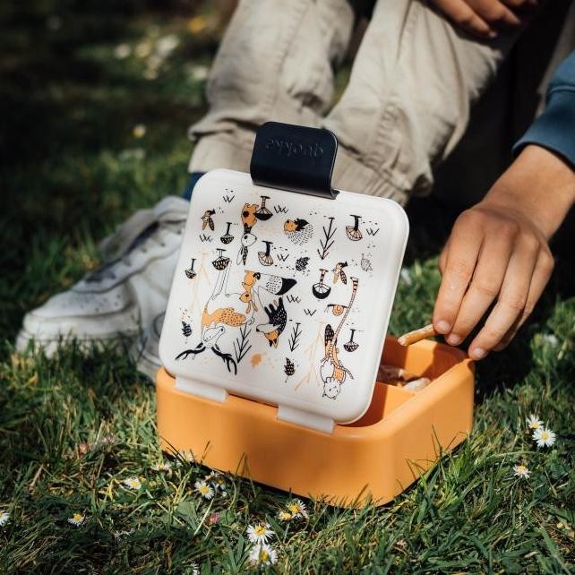 Quokka Kids Sandwich Box Twist - Tempat Makan Anak Nasi Plastik