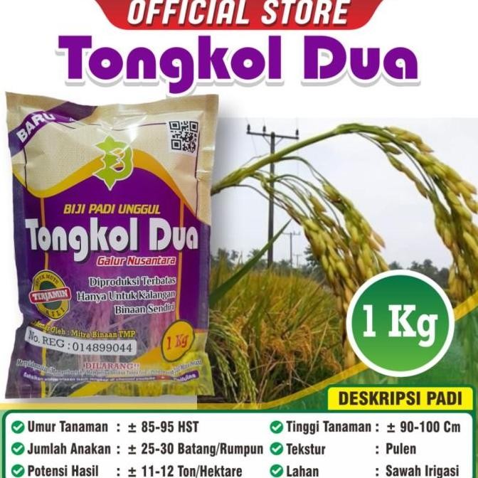 Promo Padi Tongkol 2 / Biji Padi Unggul Tongkol 2 / Bibit Padi Tongkol Dua COD