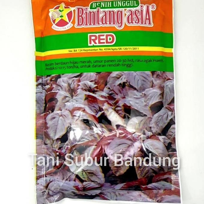Benih Bayam Merah Red 500 gr