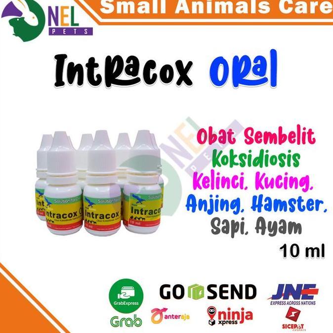 INTRACOX ORAL 10 ML OBAT SEMBELIT KOKSIDIOSIS KELINCI KUCING AYAM SAPI