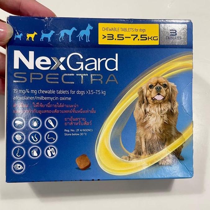 NEXGARD SPECTRA OBAT KUTU ANJING SIZE S