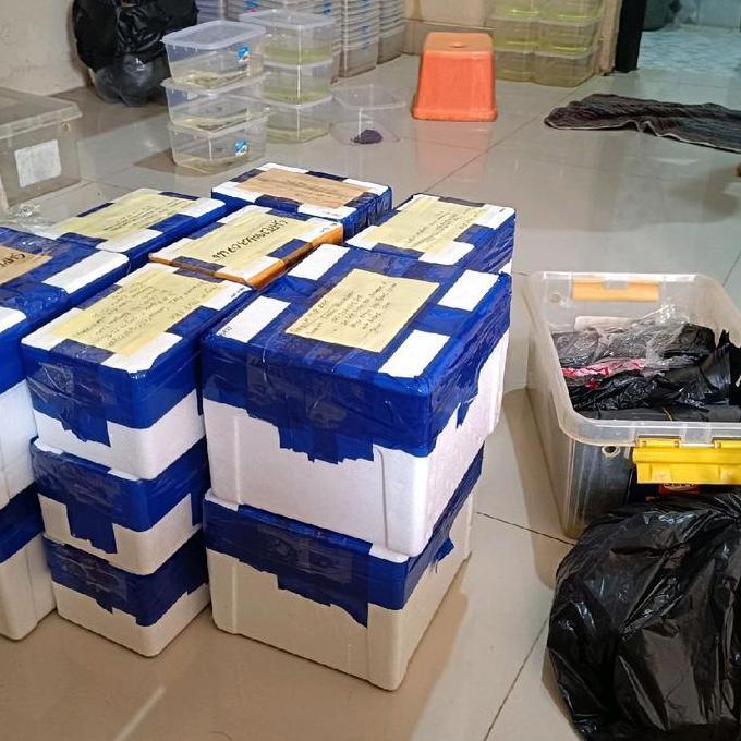 BOX STYROFOAM AURANTI WC GRADE B