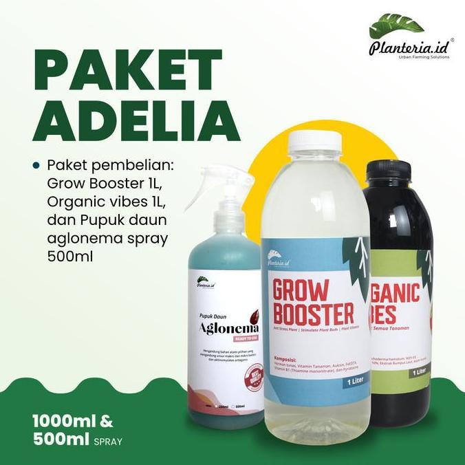 Newton- Pupuk Organik Vitamin B1 Aglonema Paket Adelia Tanaman