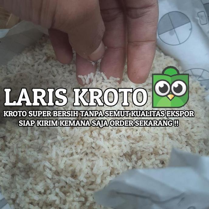 KROTO SUPER BERSIH TANPA SEMUT 1.5 ONS | KROTO SUPER KERING INSTANT
