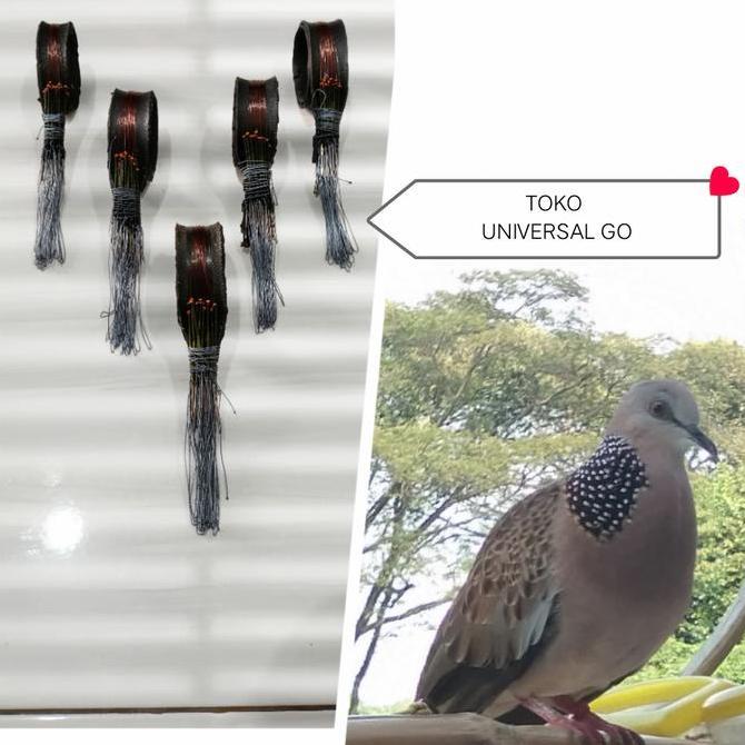 RACIK /JERAT BURUNG TERKUKUR