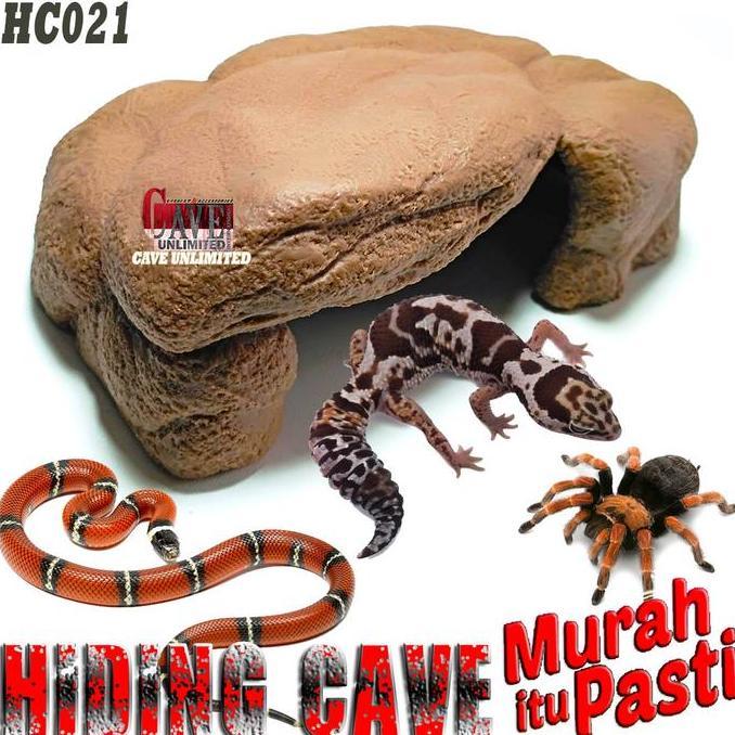 Kenzo- Hc0A Hiding Cavetempat Bersembunyi Hen Reptile Gecko Tarantula Ula