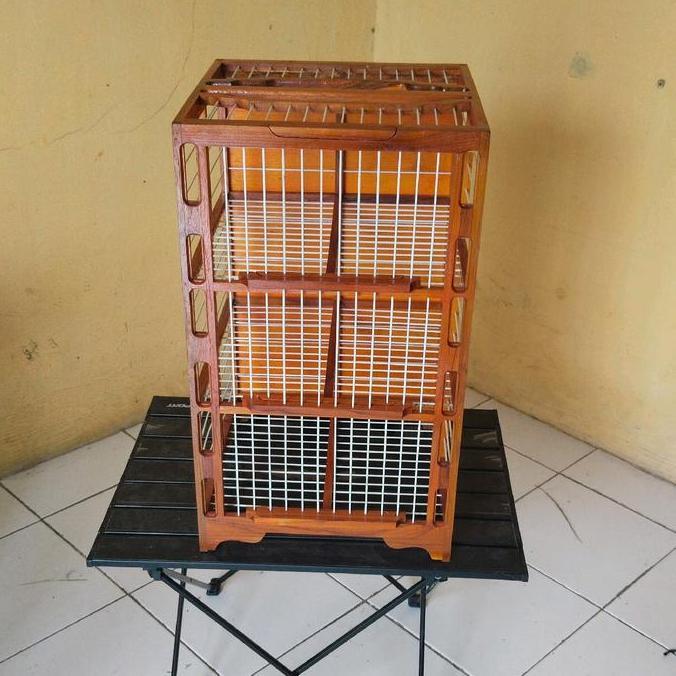 Dongdang Merpati / Dongdang Lepas / Dongdang Jati fiber / Dongdang Lepas merpati / Dongdang terbang