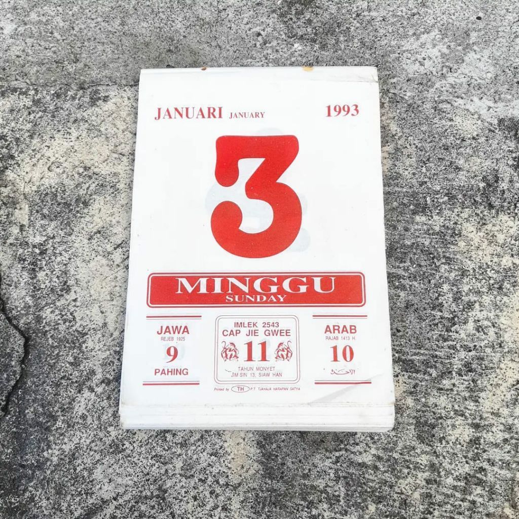 Kalender harian tahun 1993