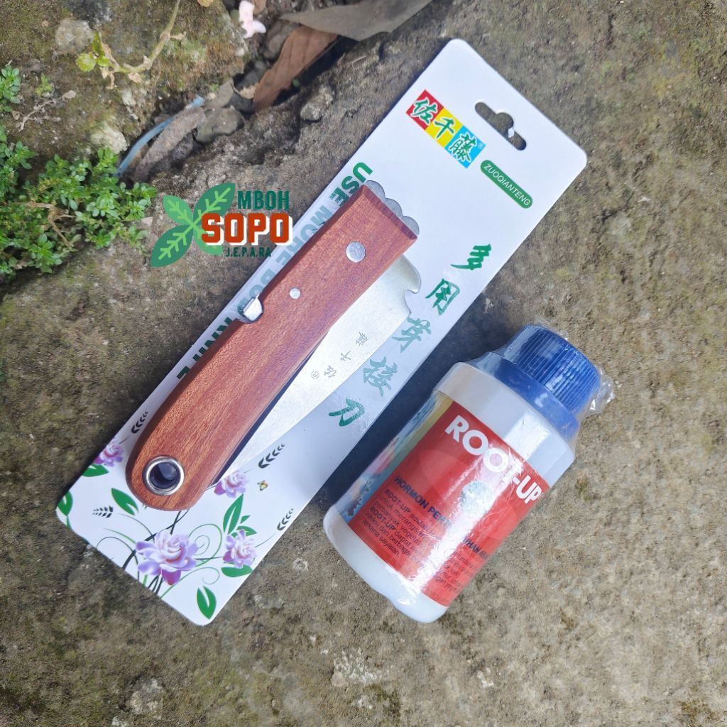 Alat Berkebun,  Satu Paket, Pisau Lipat Okulasi dan Cangkok Plus Root Up