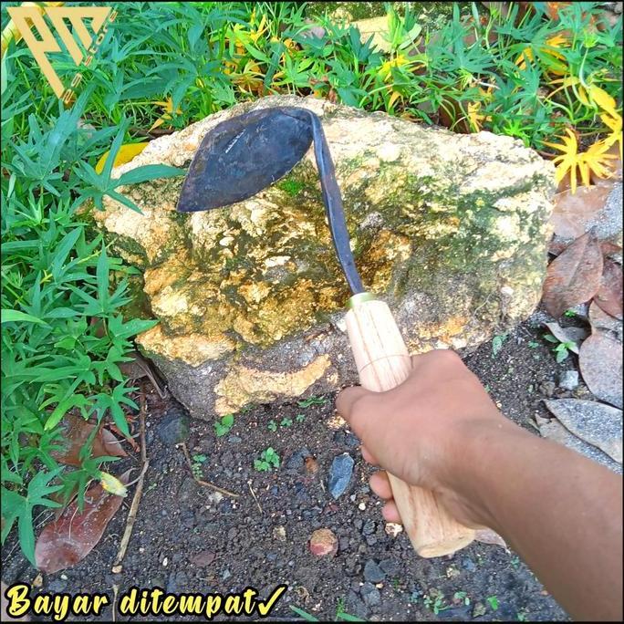 Kored rumput gatul baja - cangkul mini dangir rumput - cangkul gatul (TERBAIK) (TERBARU) (TERMURAH)