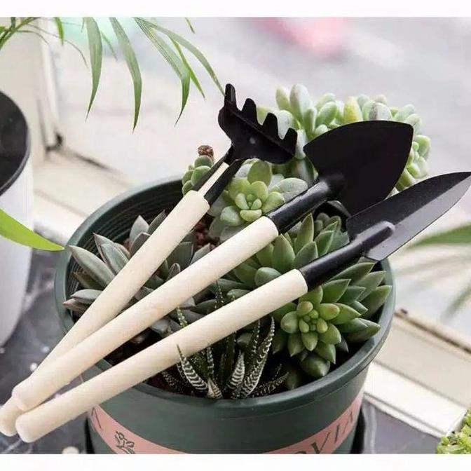 alat berkebun set cangkul mini (TERBAIK) (TERBARU) (TERMURAH)