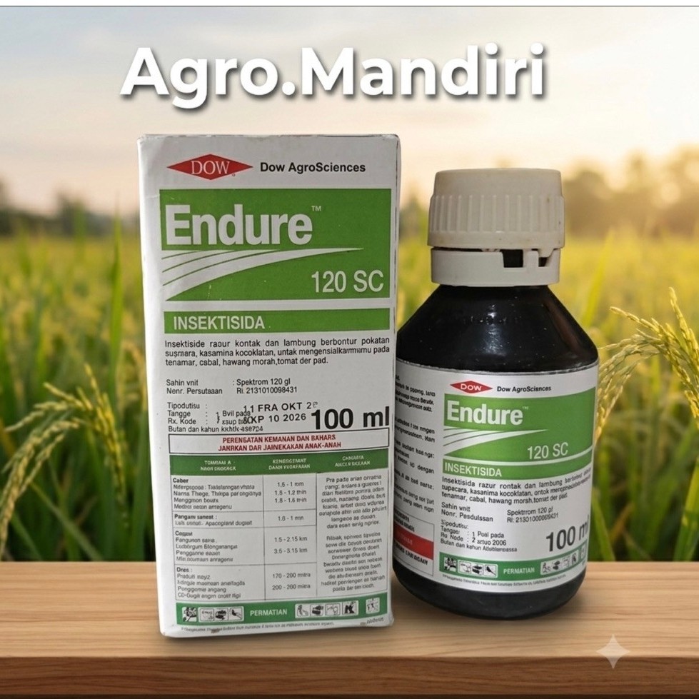 Endure 100ml