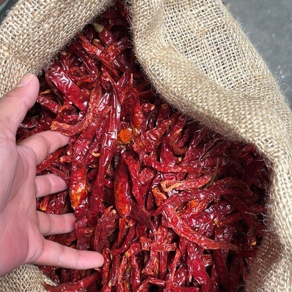 Cabe keriting Kering karungan isi kurang lebih 10Kg