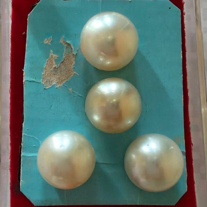 set mutiara laut asli