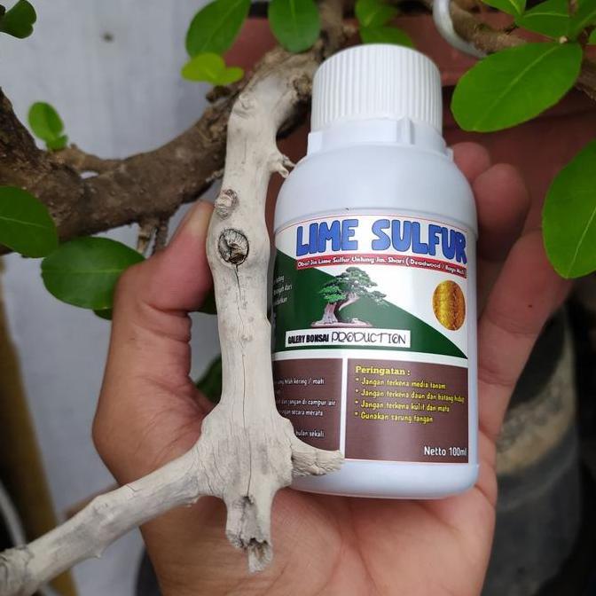 Promo Lime Sulfur Diskon