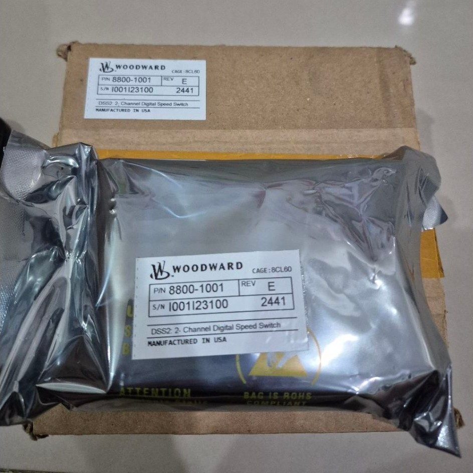 WOODWARD DSS-2 8800-1001 2-Channel Digital Speed Switch