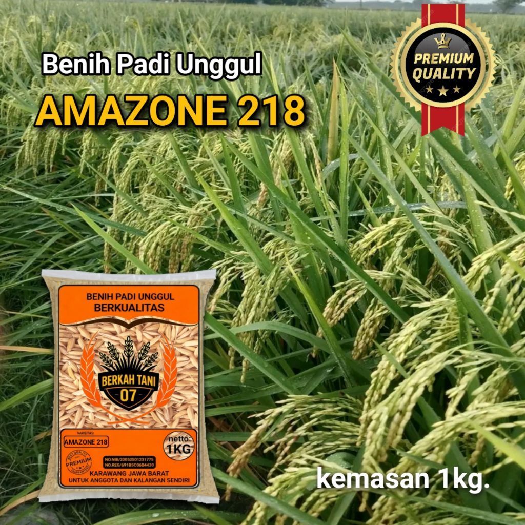 benih padi AMAZONE 218 padi super anakan terbanyak.1kg