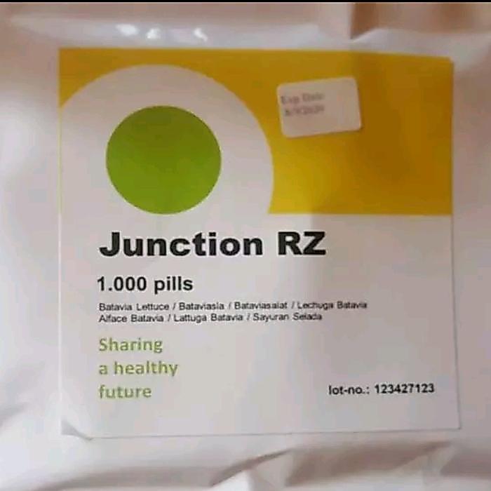 Benih Selada RZ Junction 100 pil