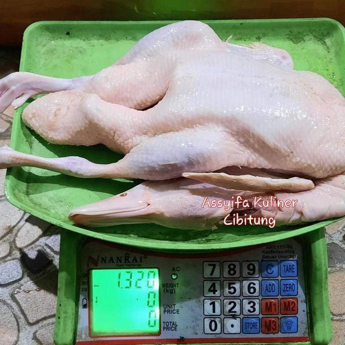 Bebek peking or hibrida putih premium super jumbo murah berkwalitas