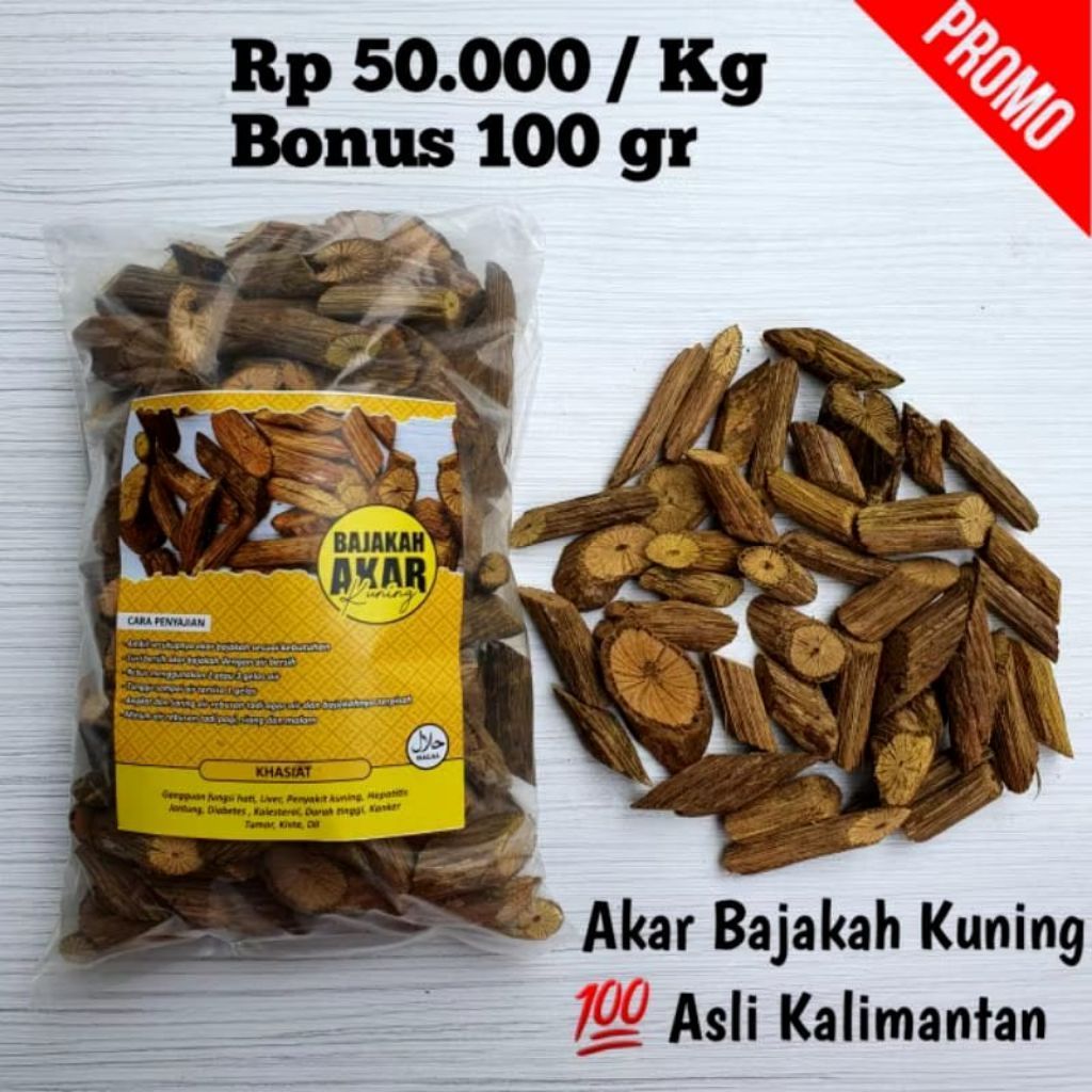 Akar Bajakah Kuning Asli Kalimantan