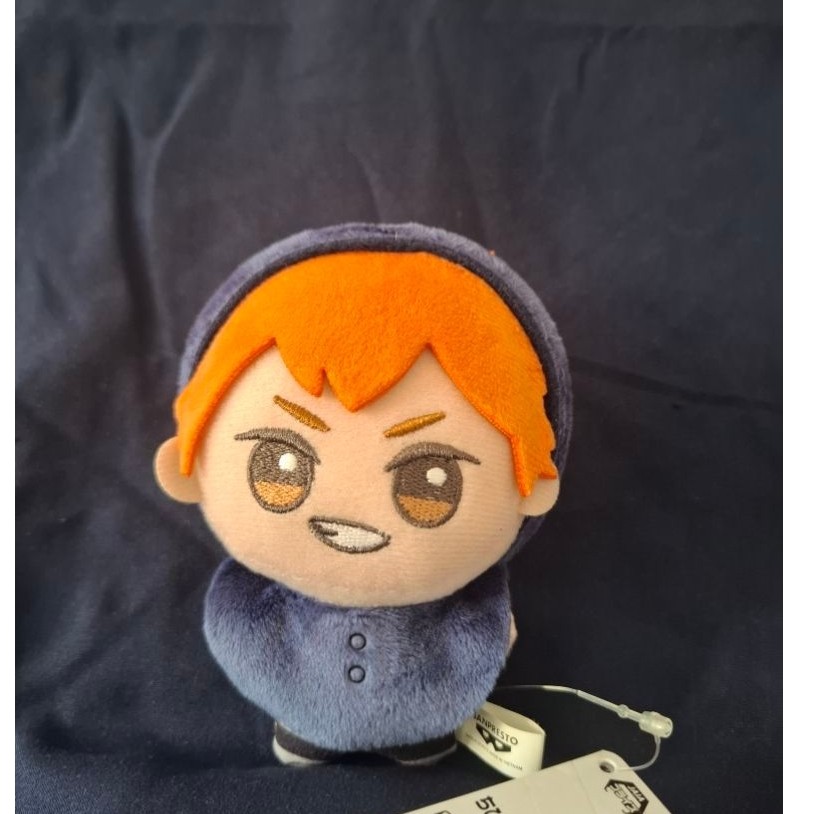Chibigurumi Shoyo Hinata