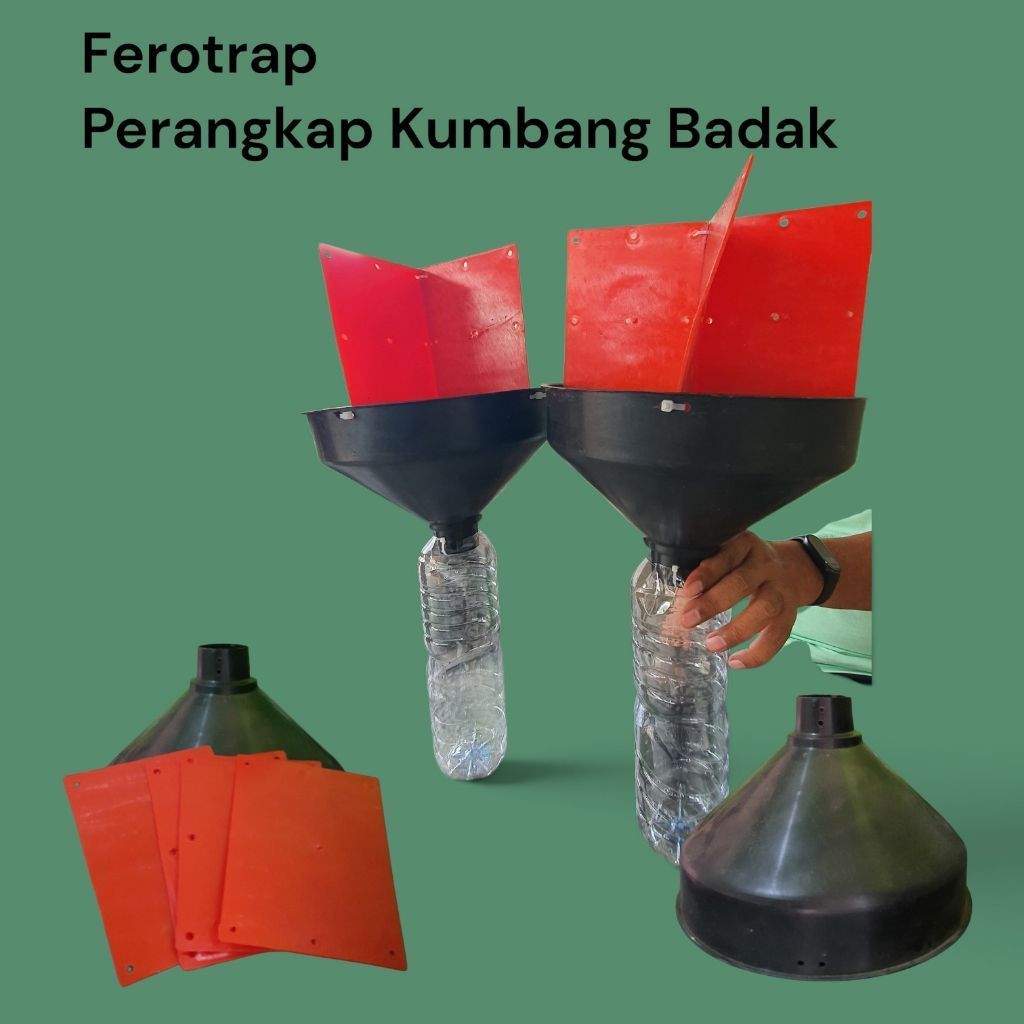 Ferotrap, Perangkap Kumbang Badak
