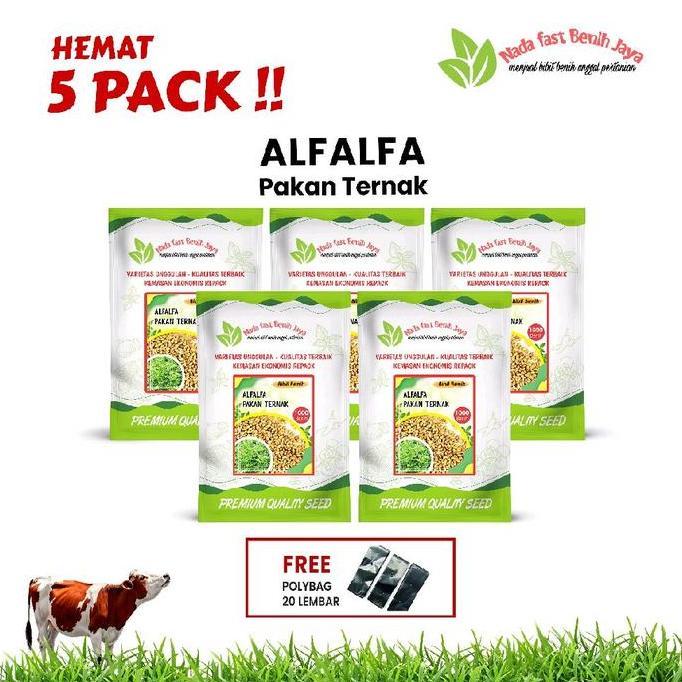 Bestseller- 5 Pack benih alfalfa - benih pakan ternak benih tanaman alfalfa