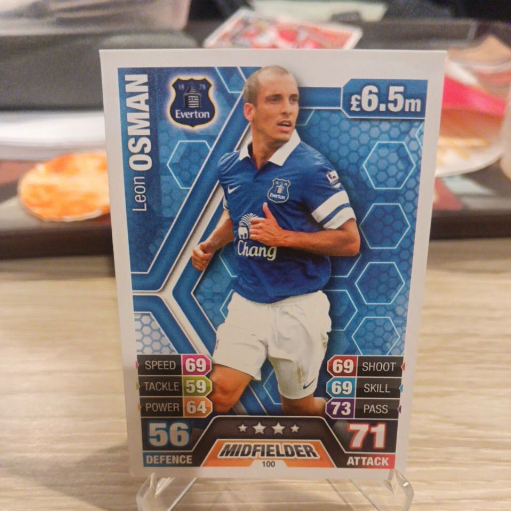kartu bola match attax epl 2013/2014 International Edition Everton