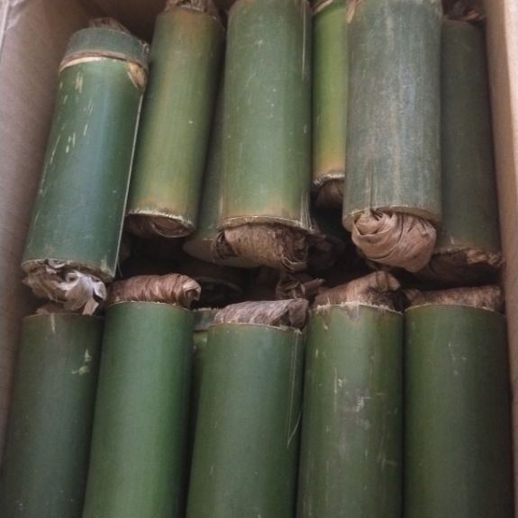 ulat bambu isi 30