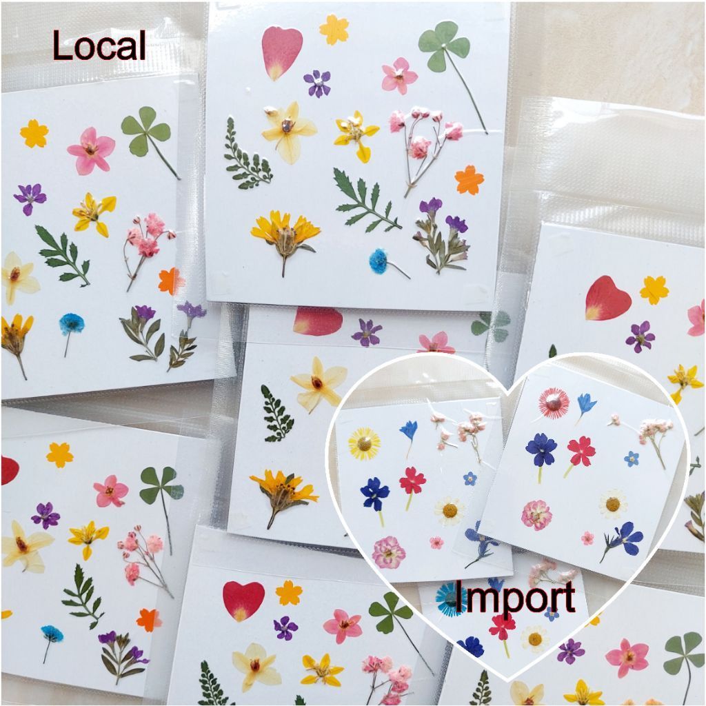 Mini Pressed Flower - Bunga Kering Mini - Pressed flower - Flower for resin - Herbarium - Dried flow