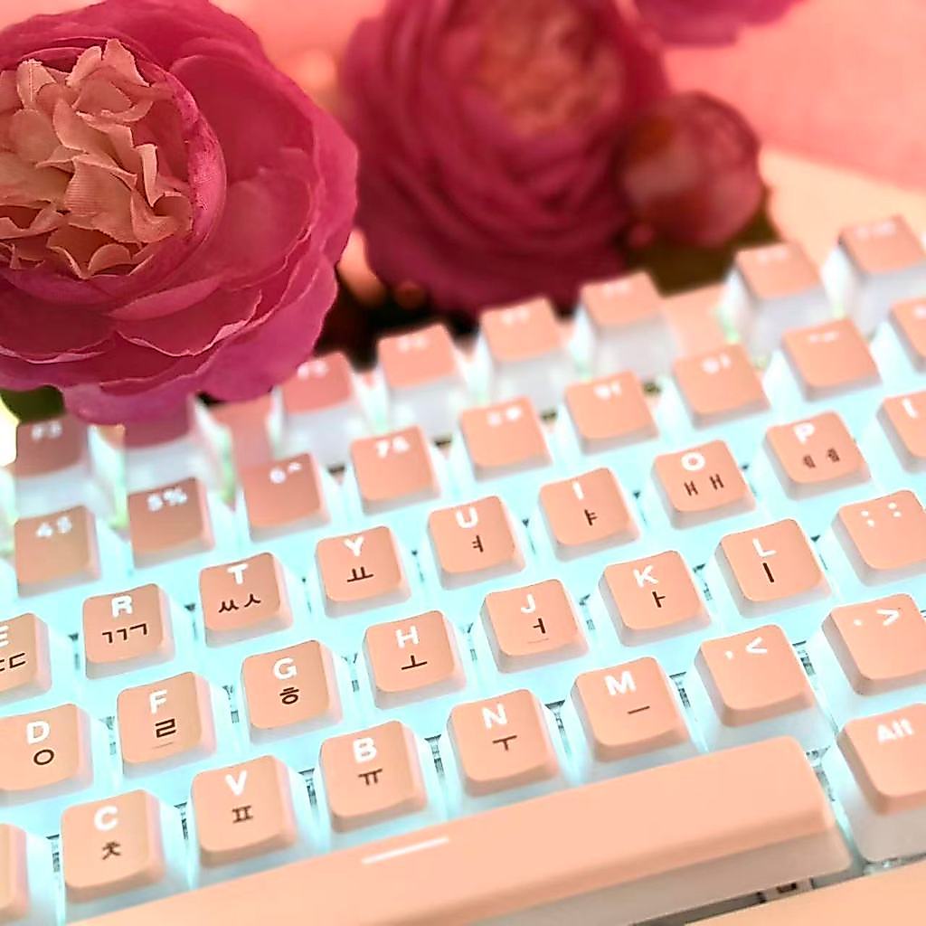 Hangul Keycap Korean Layout Keycap Pudding Keycaps Set PBT OEM Profile For Gaming Mechanical