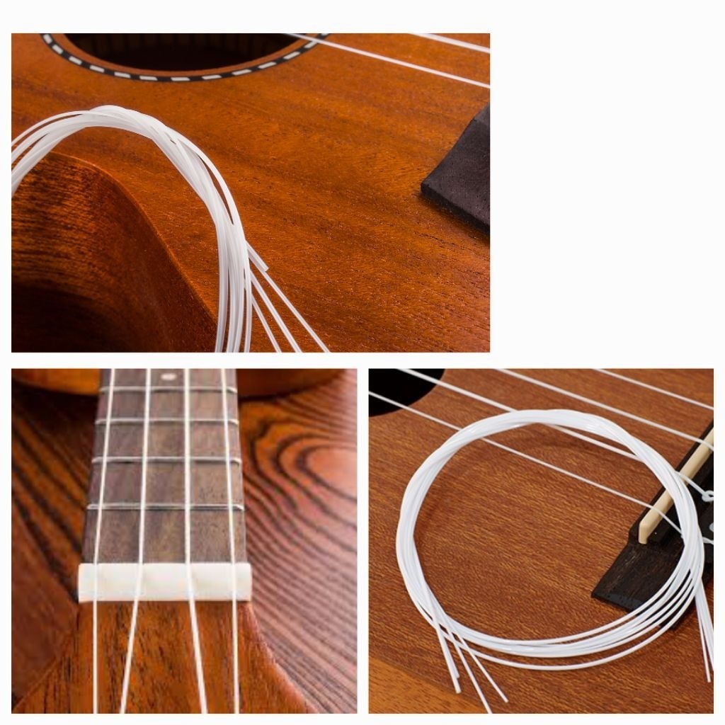SENAR UKULELE 1 SETT SENAR UKULELE IMPORT