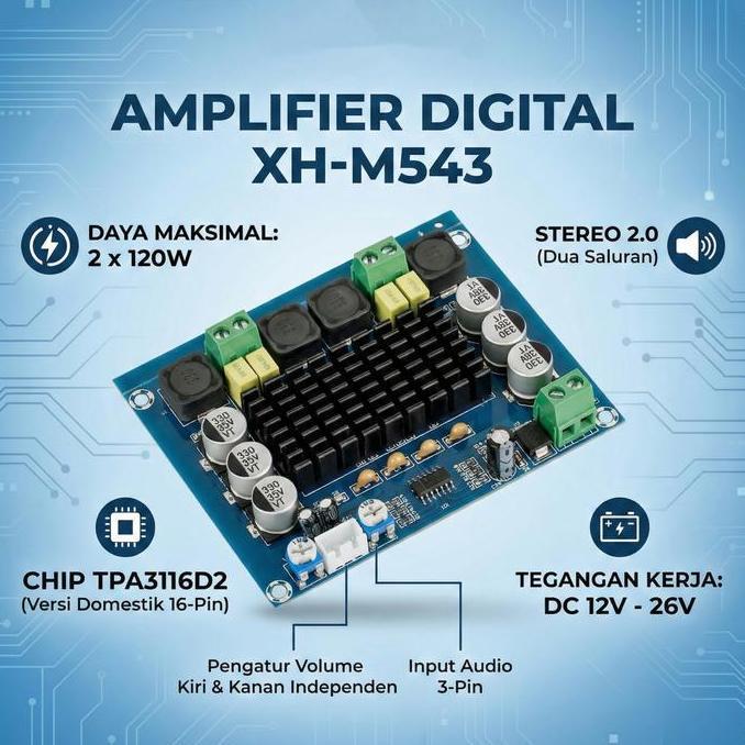 FARMUKE XH M543 Power Amplifier Digital TPA3116D2 2x120W Stereo Audio Board Class D DC 12V 24V Modul