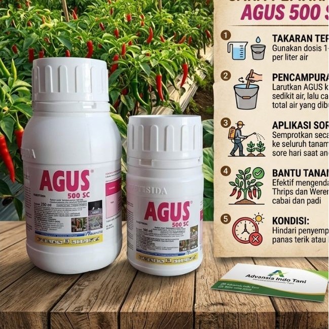 Insektisida AGUS  500 SC
