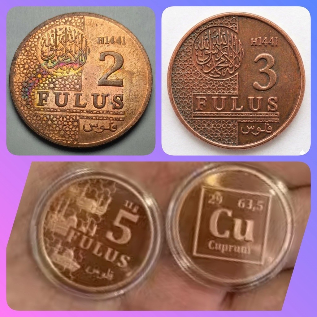 Koin Fulus