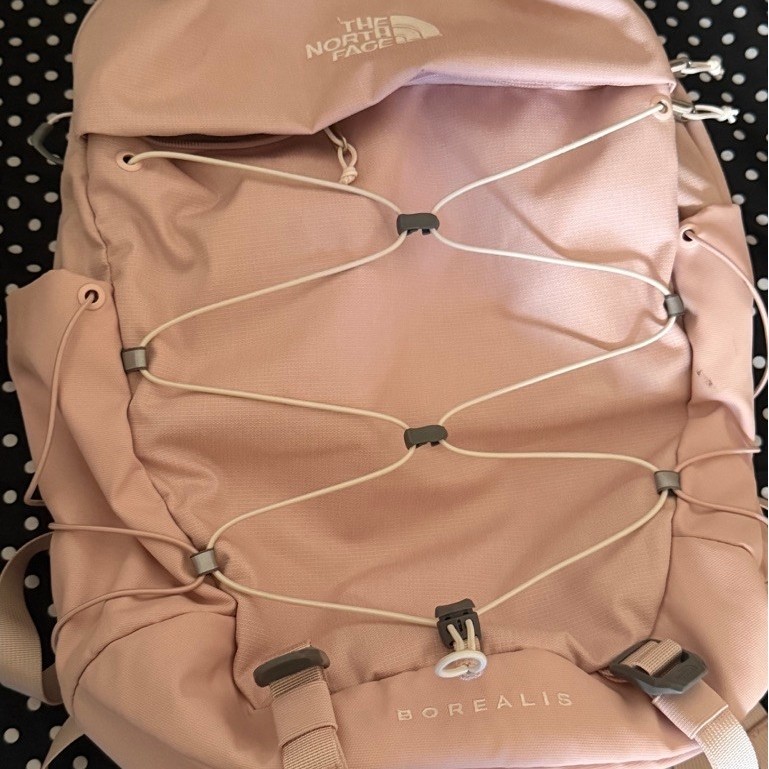 the north face tnf borealis backpack limited usa pink moss ready rare original