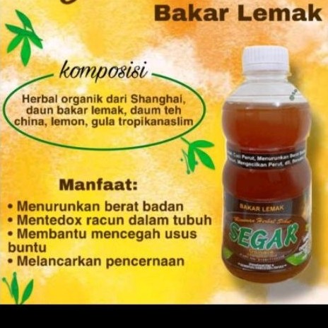 jamu segar dewata bakar lemak shanghai tea herbal detoks