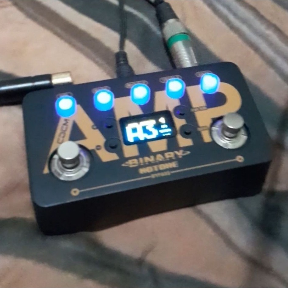 hotone binary amp plus cabsim
