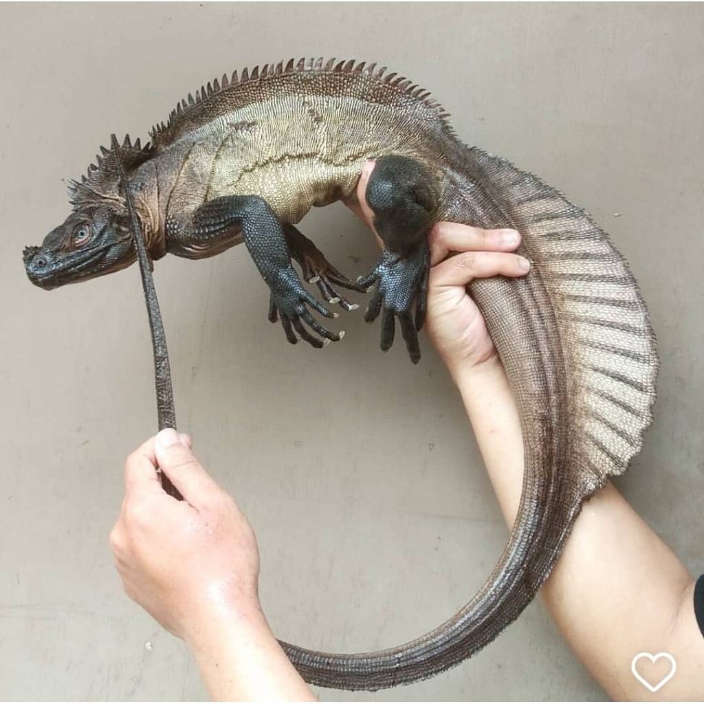 miniatur hewan reptile soa layar