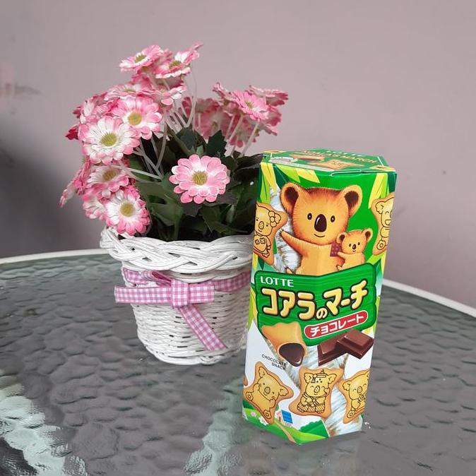 Lotte Koala March 37G