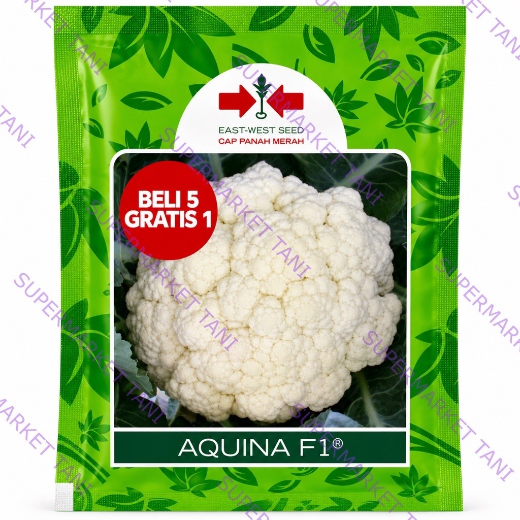 Benih Brokoli East-West Seed Cap Panah Merah Aquina F1