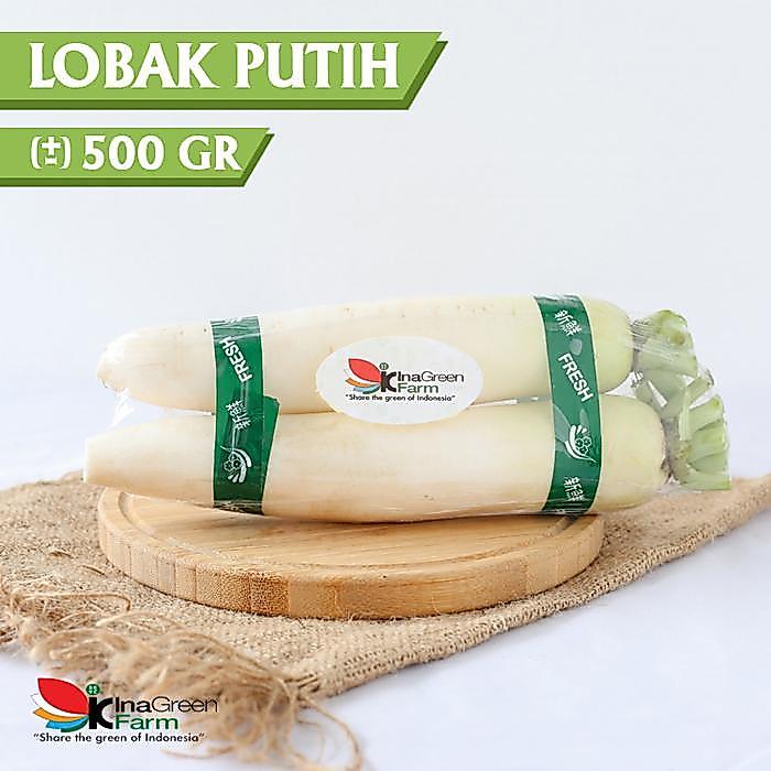 TERLARIS Lobak Putih Korea Inagreen Farm Bandung