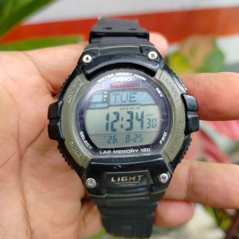 Casio W-S220