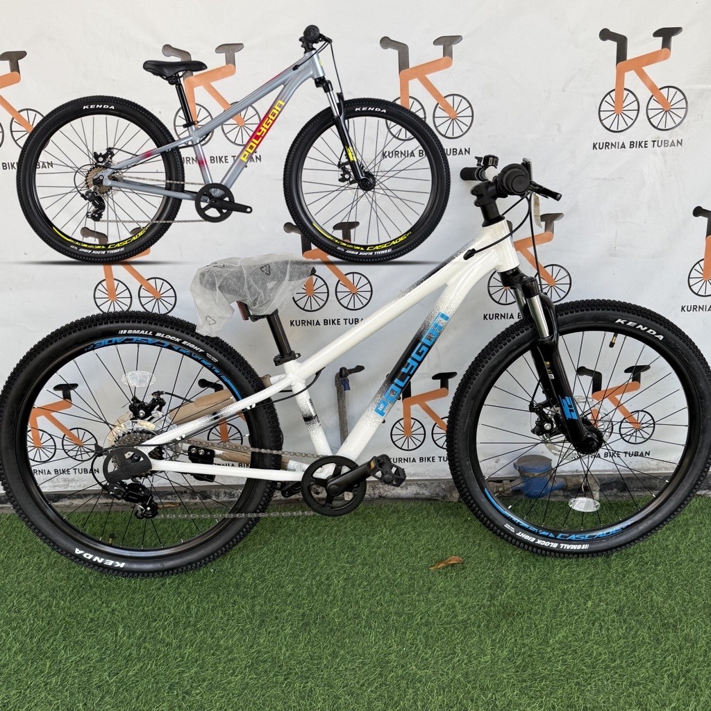 Sepeda MTB 24 POLYGON CASCADE 24