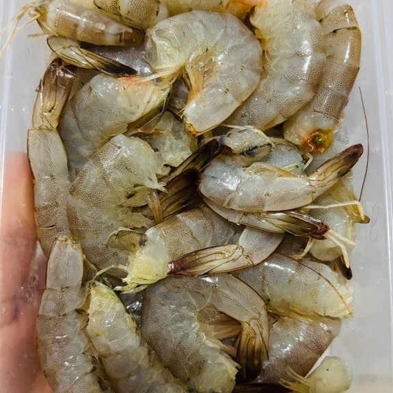 Udang Vaname 500gr
