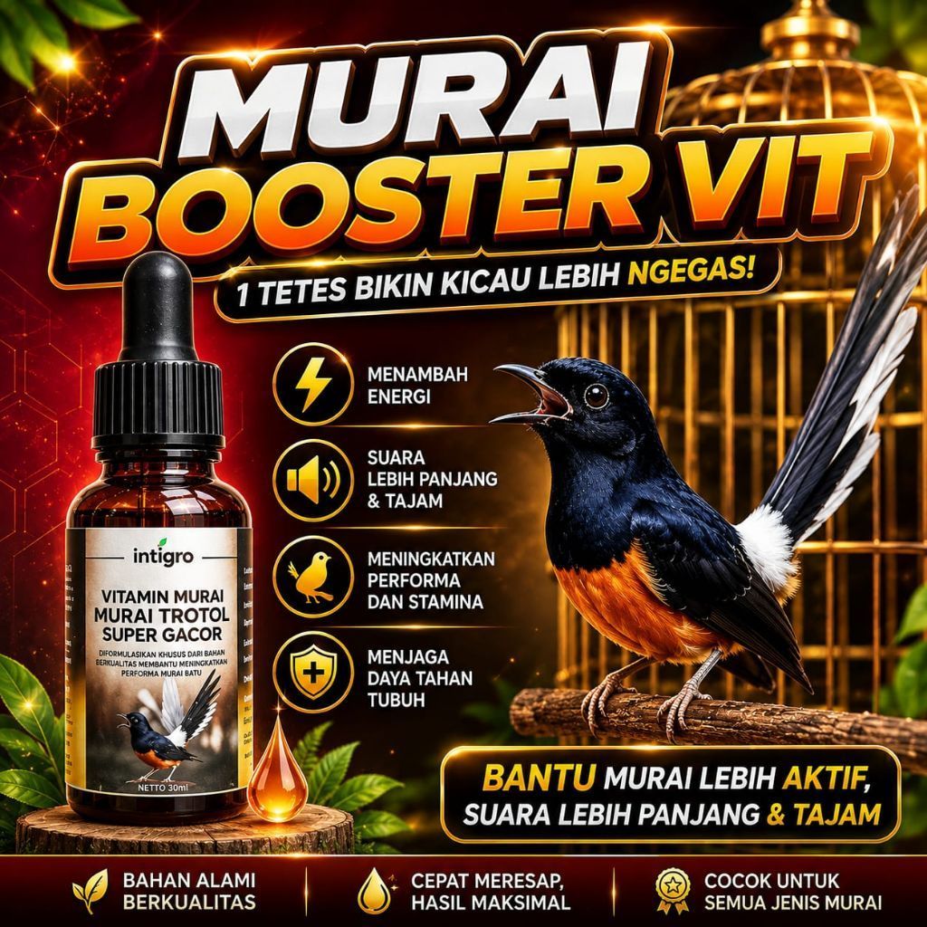 *MBS* Vitamin Murai Trotol Agar Gacor / Vitamin Burung Murai Batu Trotolan / Doping Burung Murai Tro
