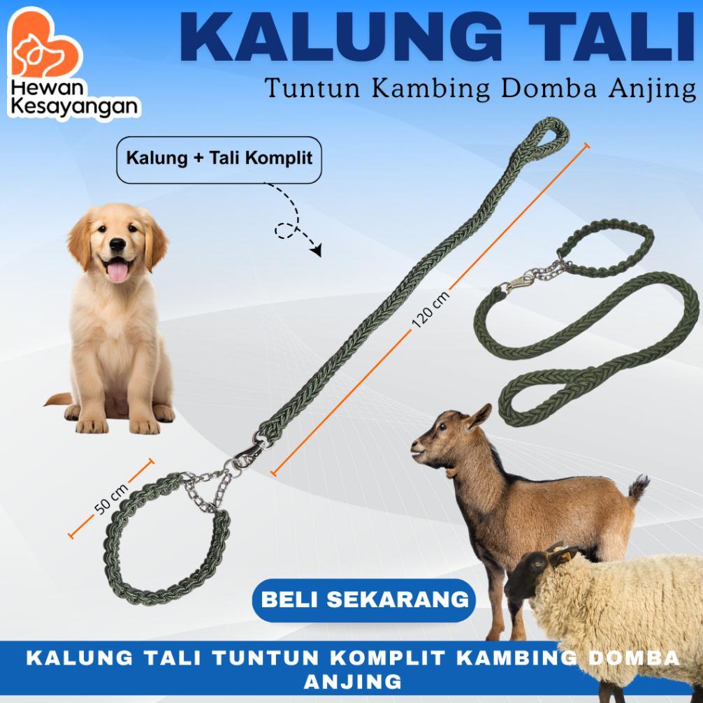 Kalung Dan Tali Tuntun Kambing Domba Nilon Kuat Aksesoris