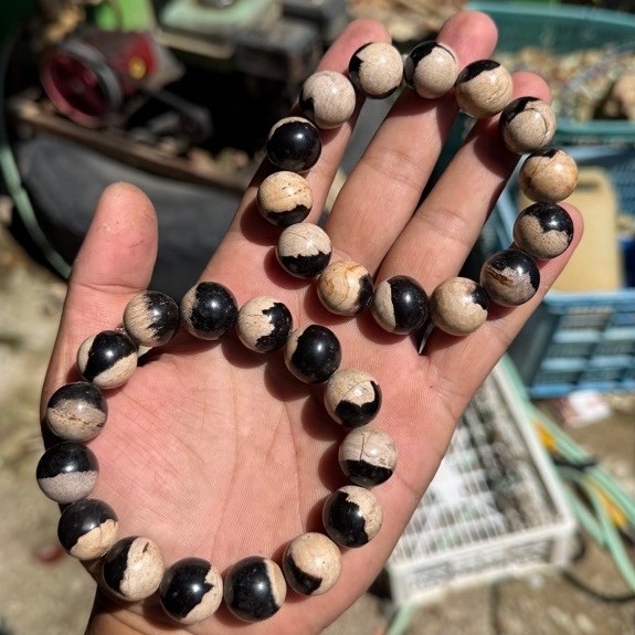 Gelang Batu Fosil Galih Kelor / Bracelet Fosil Kayu