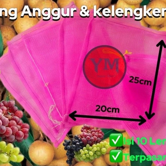 Brongsong BARU ISI 10 LEMBAR mangga jambu kristal kelengkeng